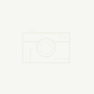 XGN15型户内固定式高压开关柜